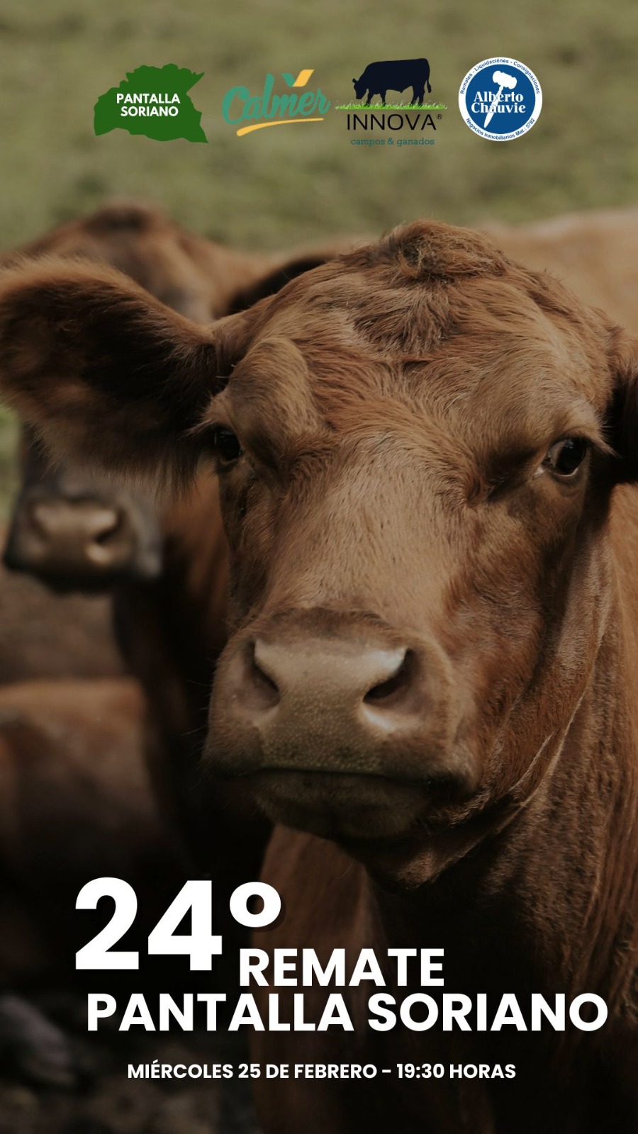 24º Remate - Pantalla Soriano